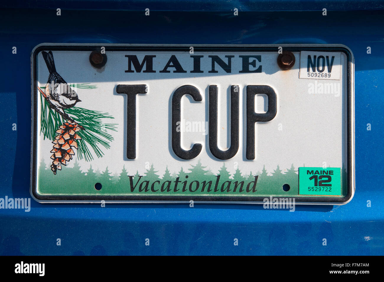 Maine Eitelkeit Nummernschild sagen, ' t-Cup ", Maine Stockfoto