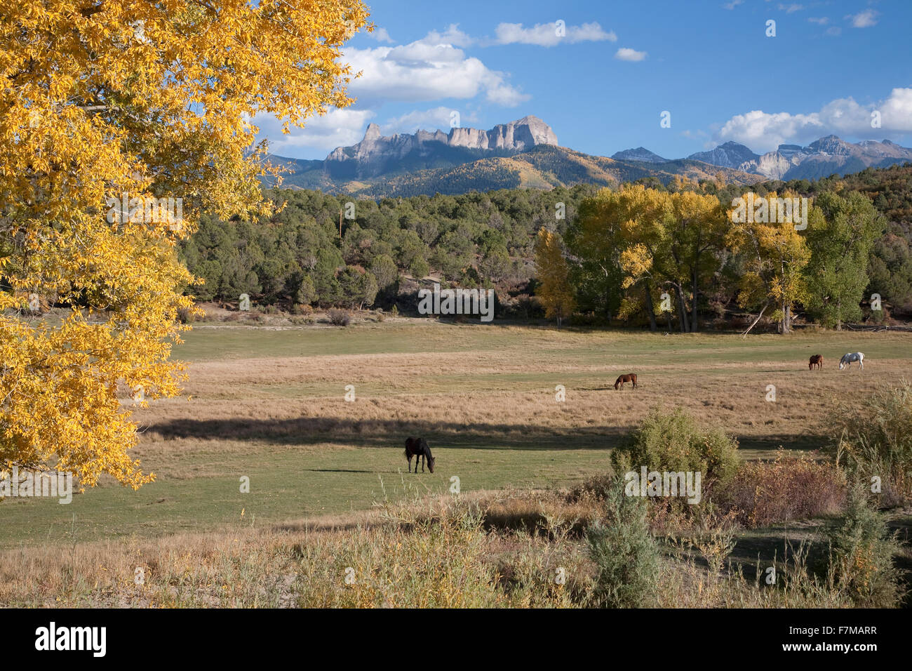 Ranch und Pferde mit Schornstein Peak Ansicht Uncompahgre National Forest, Colorado, in der Nähe von Ridgeway, CO Stockfoto