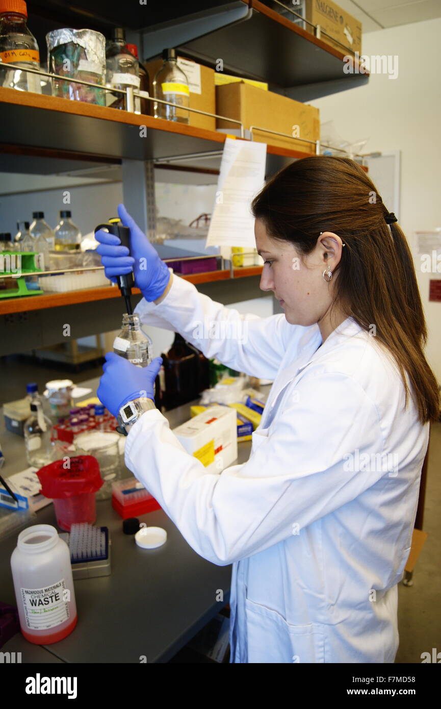 Frau, die Durchführung von Experiment in Chemie-Labor. Stockfoto