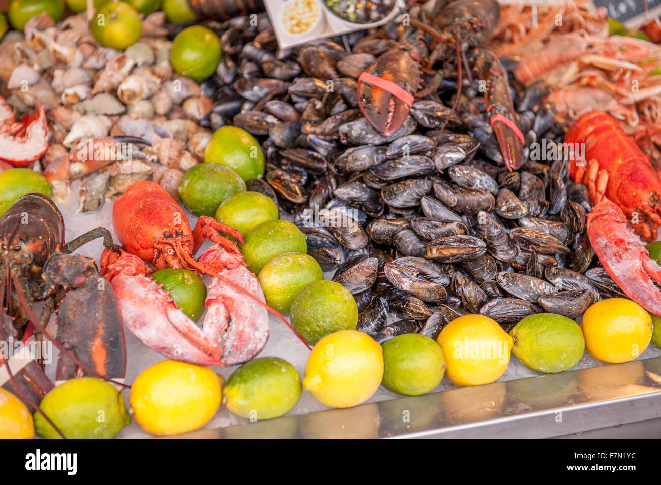 Schalentiere und frische Meeresfrüchte auf einem Markt-Tisch Stockfoto