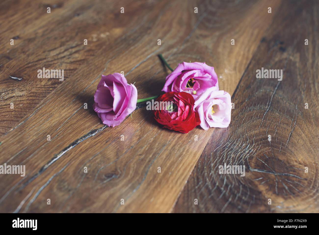 Rosen auf Holztisch Stockfoto