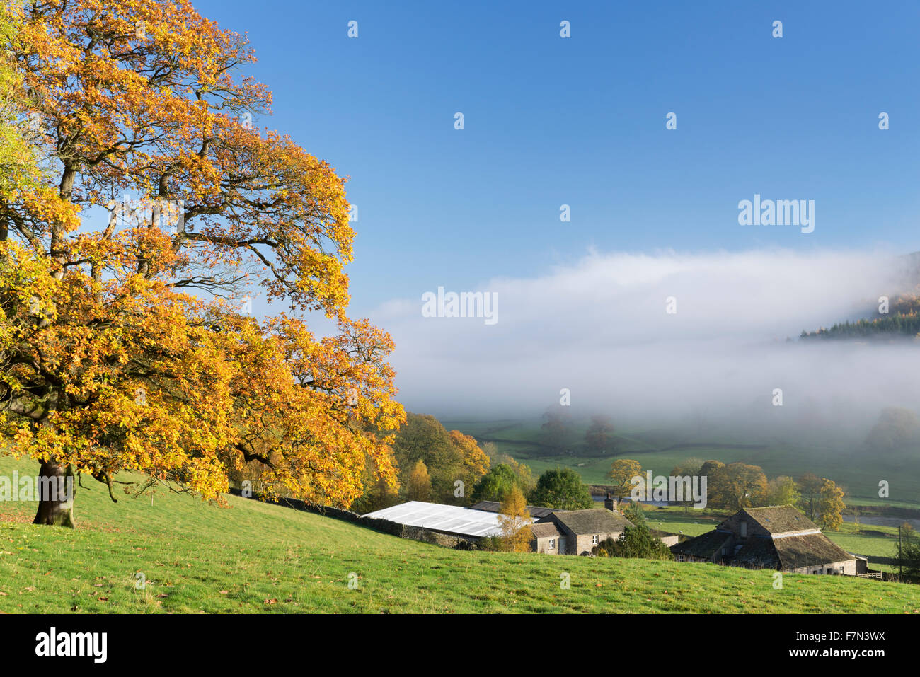 Wharfedale November 2015 Stockfoto