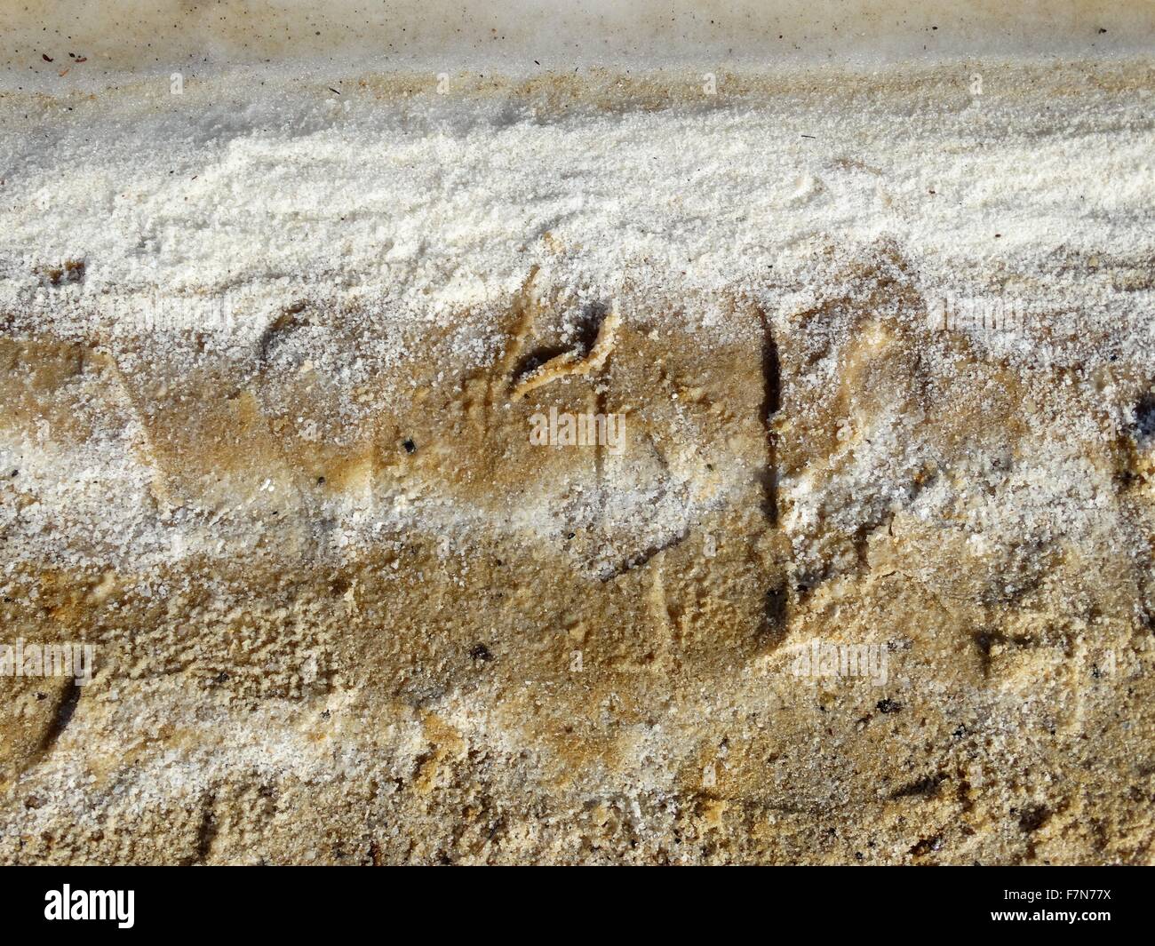 Totes Meer Salz Einlagen; Israel-2014 Stockfoto
