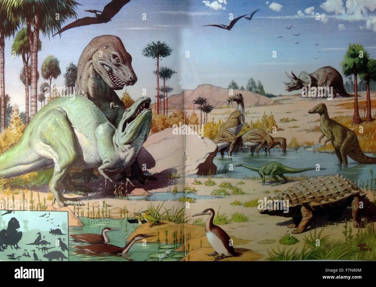 Die Kreidezeit Alter. Hier sind einige der erstaunlichen Tiere die vor 90 Millionen Jahren lebte