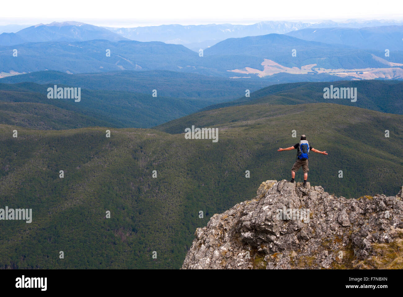 Wandern im Nelson Lakes National Park in der Nähe von St Arnaud, Südinsel, Neuseeland Stockfoto