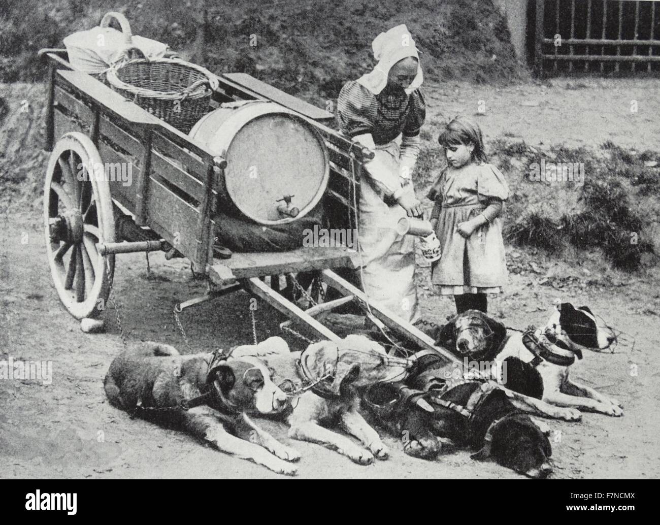 Belgische Mutter und hatten mit einem Hund gezogenen Wagen 1910 Stockfoto