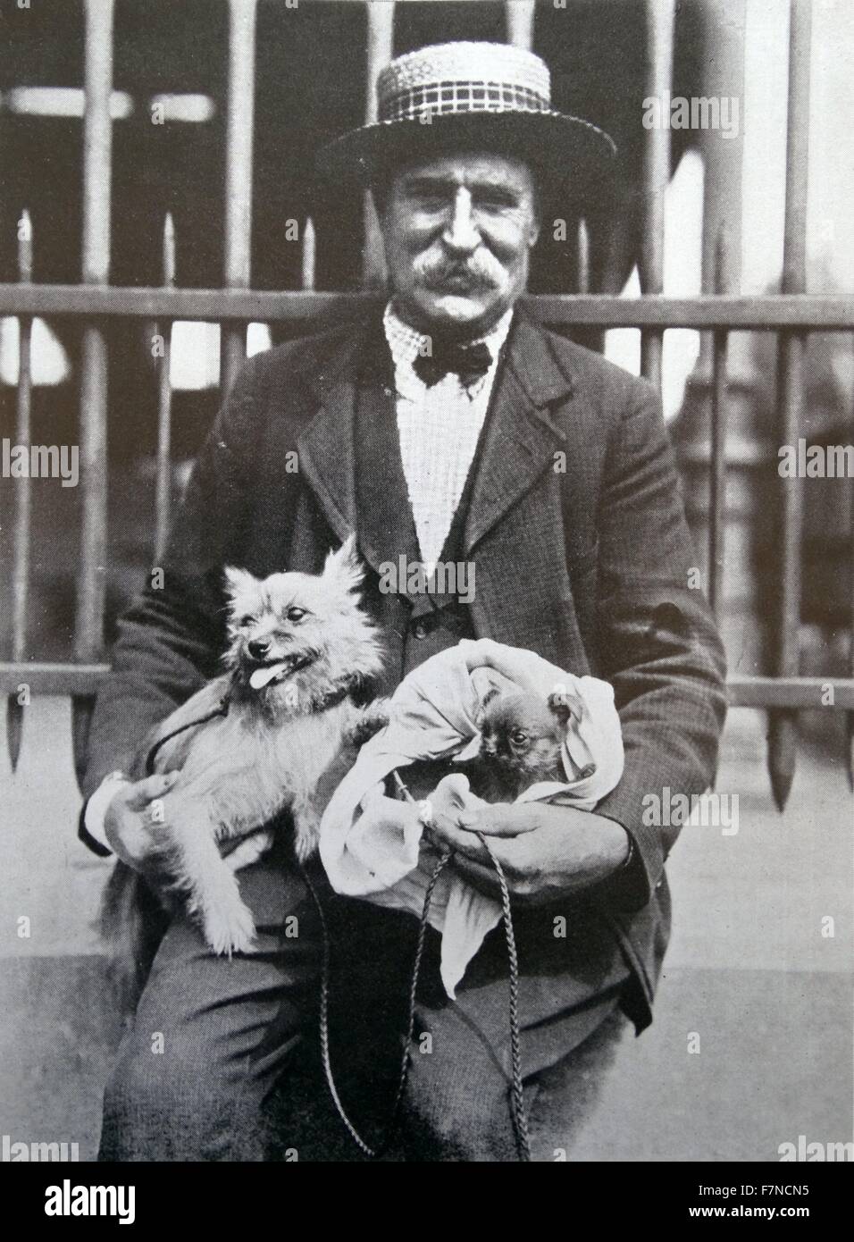 Mann mit einem Hunde, Belgien 1910 Stockfoto