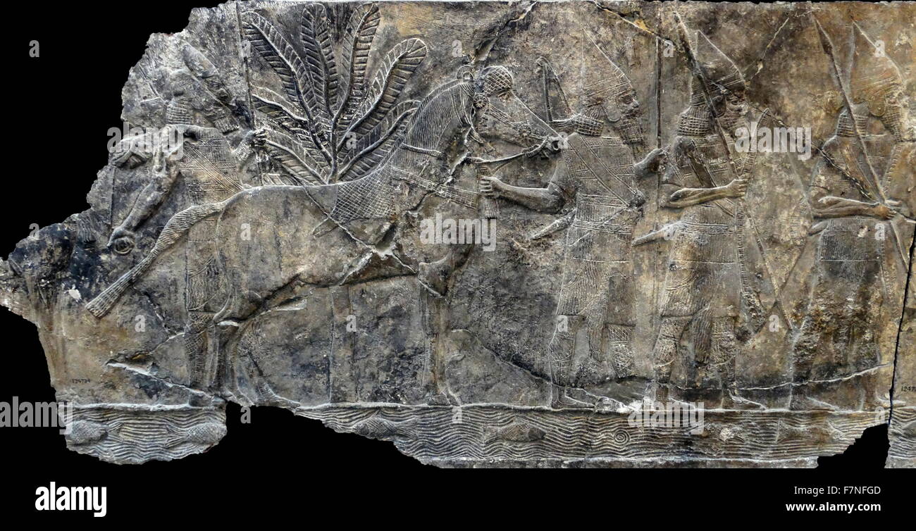 Fries mit Kampagne gegen die Stadt - Alammu. Assyrische, über 700-692 v. Chr. von Ninive, Süd-West-Palast, Zimmer XIV, Platten 4-6. Irak. Stockfoto