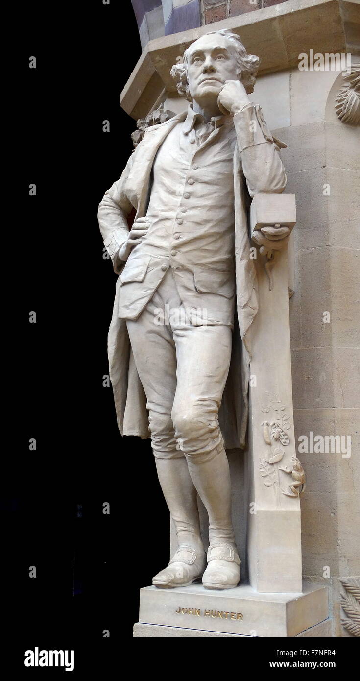 Statue von John Hunter (1728-1793), ein schottischer Chirurg und Wissenschaftler. Vom 2009 Stockfoto