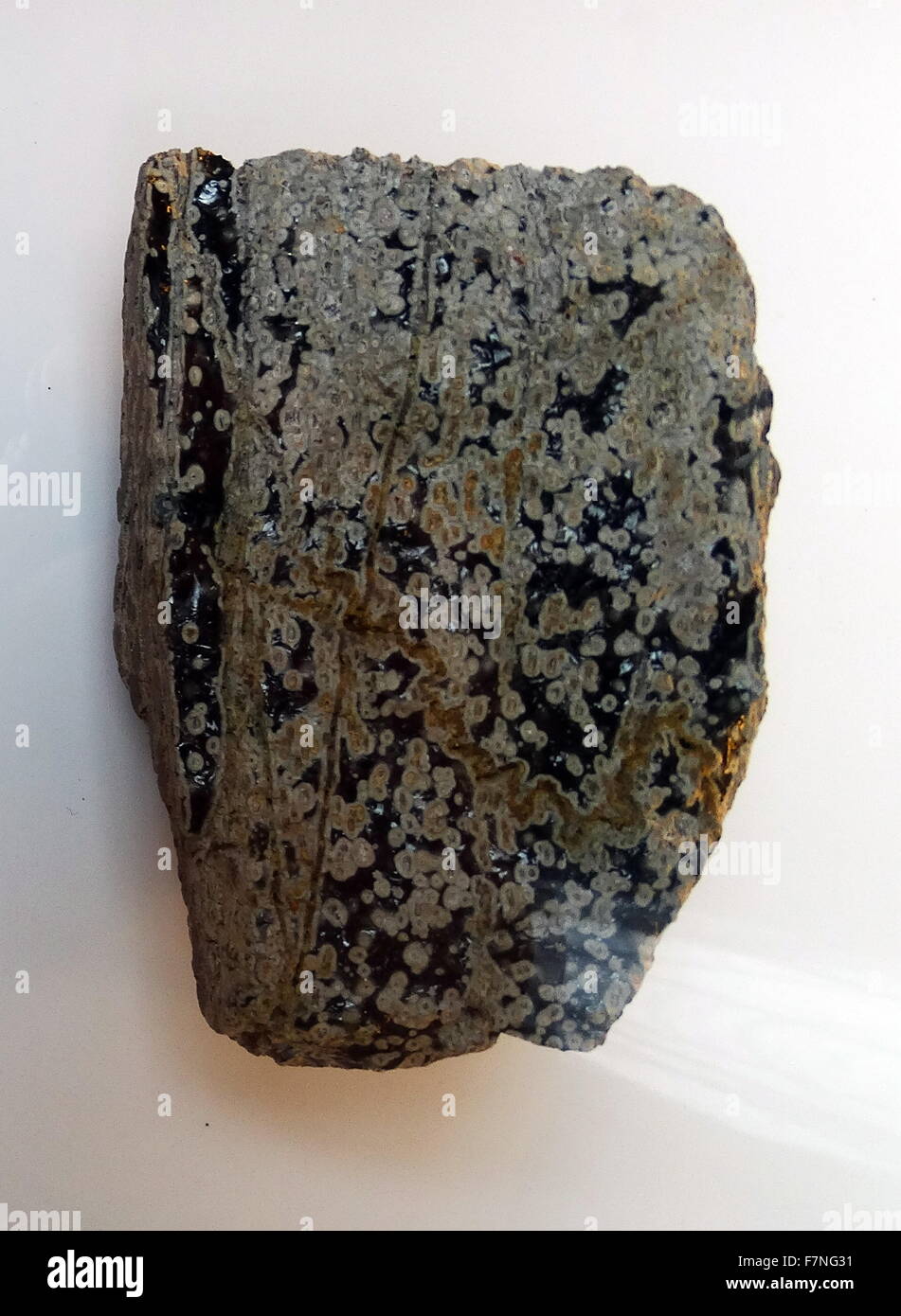 Modifizierungsbox Obsidian, kleinen, runden Körper, die häufig, in glasigen magmatischen Gesteinen, von Lipari Inseln, Italien auftreten Stockfoto