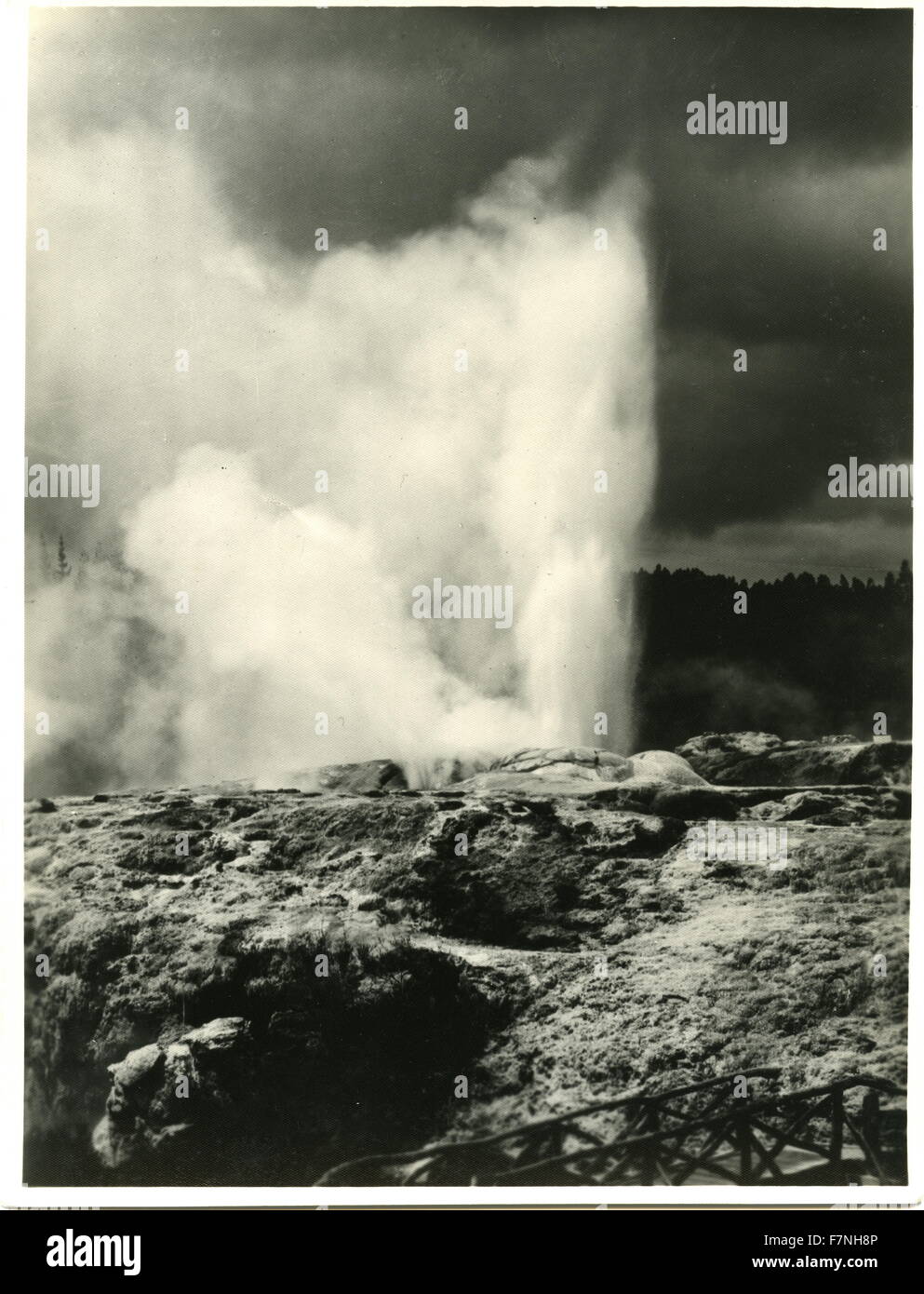 Foto von Pohutu Geysir, Rotorua, Nordinsel, Neuseeland. Datiert 1930 Stockfoto