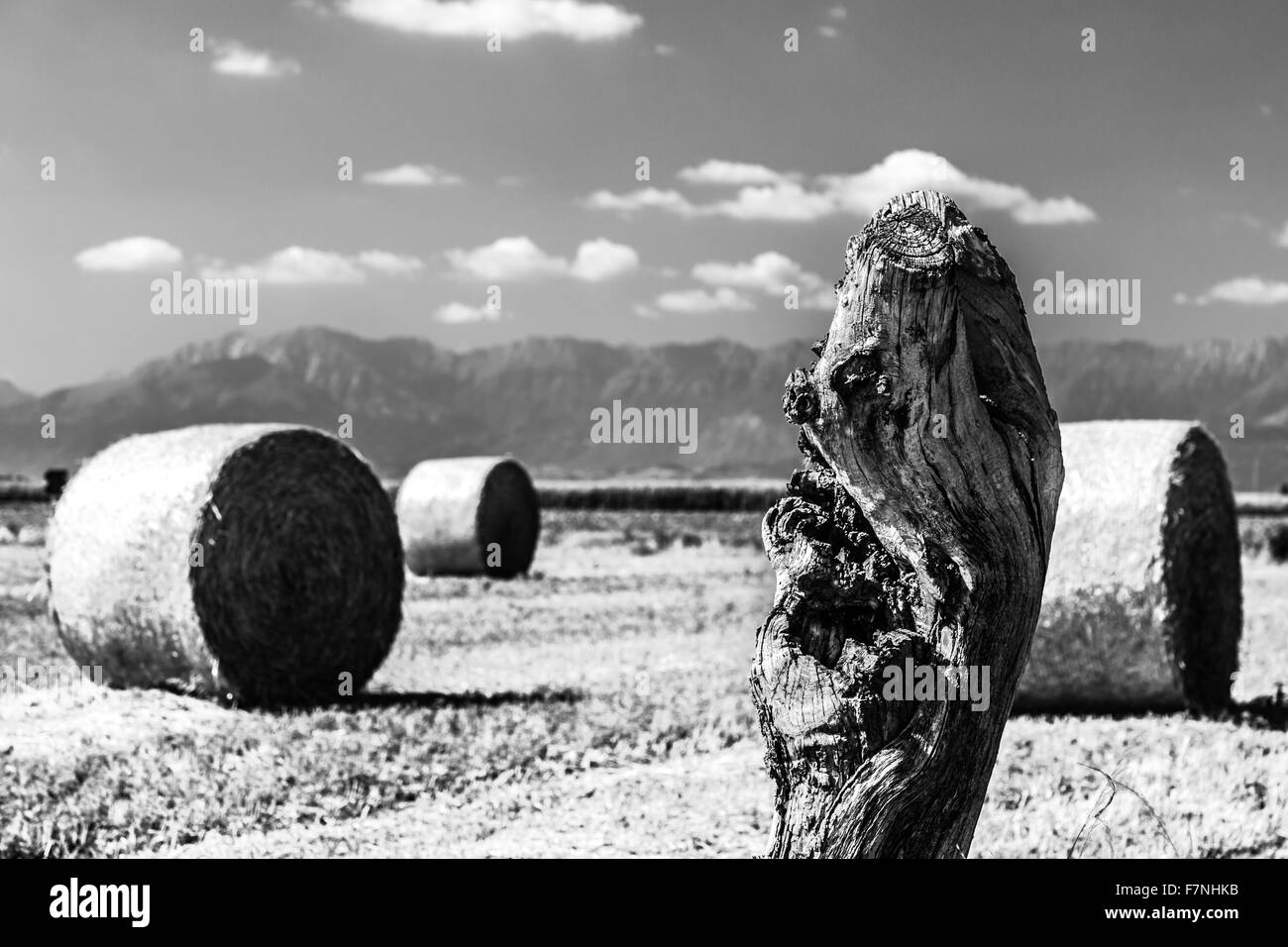 Sturm kommt auf einem Feld mit Heuballen Stockfoto