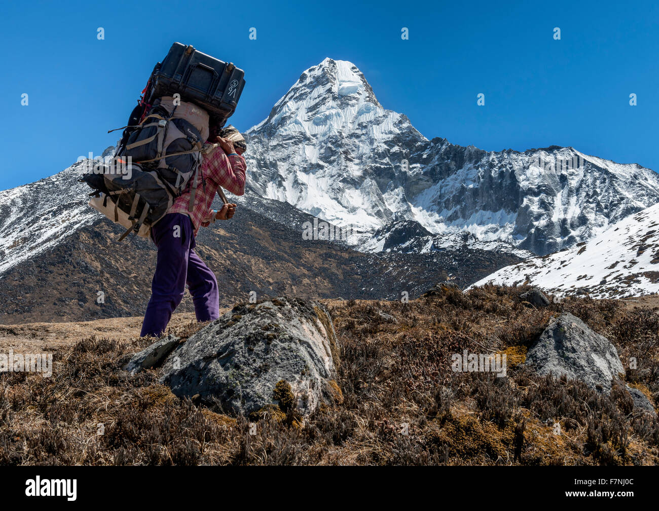 Nepal, Himalaya, Khumbu, Ama Dablam, Gepäckträger mit Gepäck Stockfoto