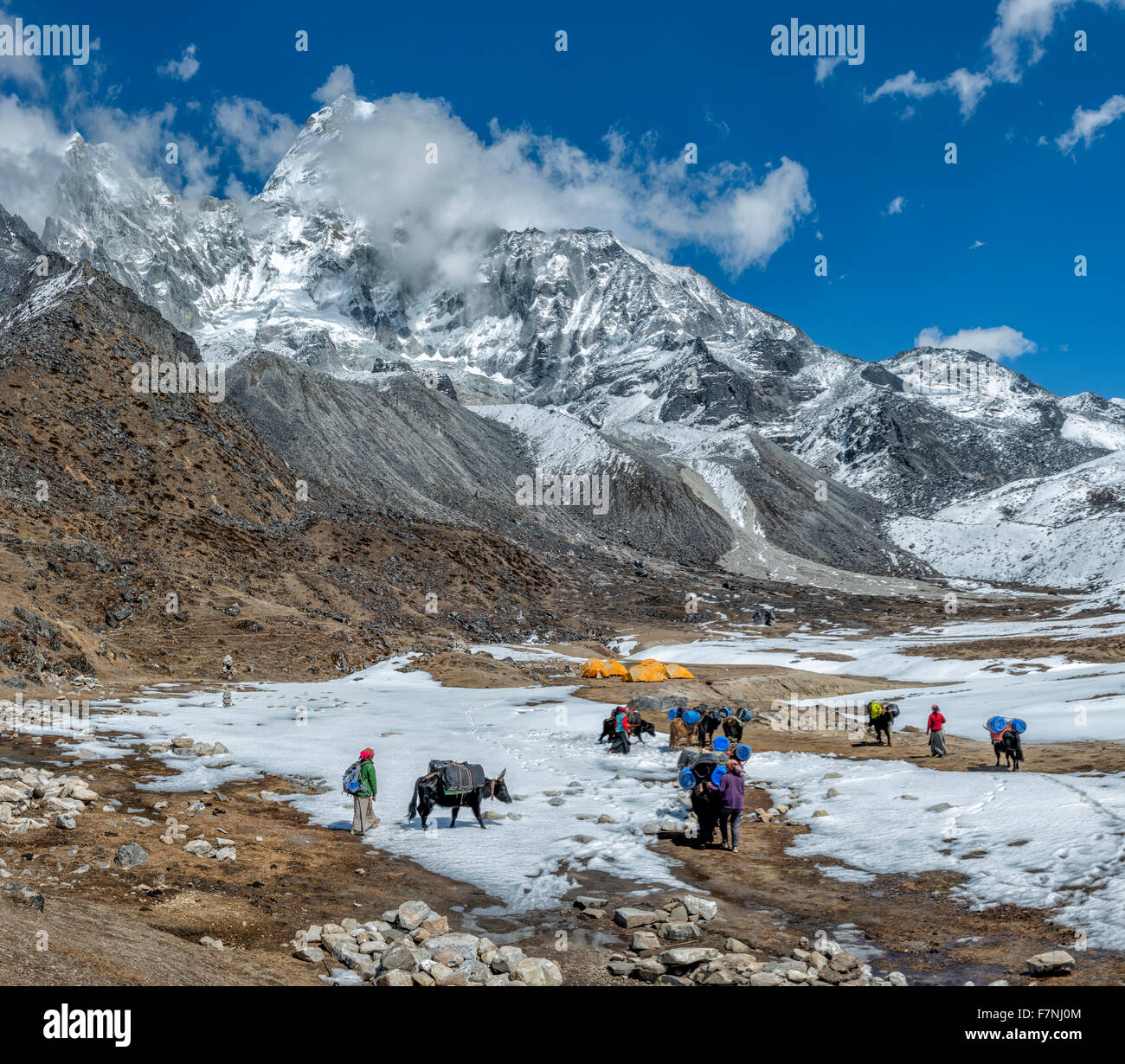 Nepal, Himalaya, Khumbu, Ama Dablam Basislager Stockfoto