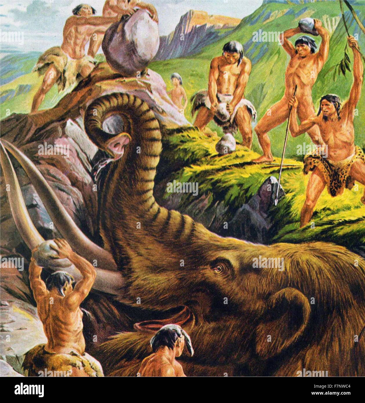 prähistorische Höhlenmenschen jagen ein Mastodon. 1940er Jahre Illustration. Mastodons sind alle Arten von ausgestorbenen Proboscideans in die Gattung Mammut, entfernt verwandt, Elefanten, die Nord- und Mittelamerika, vor 10.000 bis 11.000 Jahren bewohnt Stockfoto