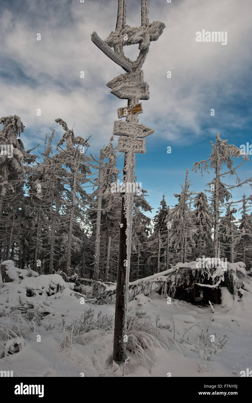 gefrorene Wegweiser Wanderwege auf Malinowskas Skala Hügel in Beskid Slaski Bergen Stockfoto