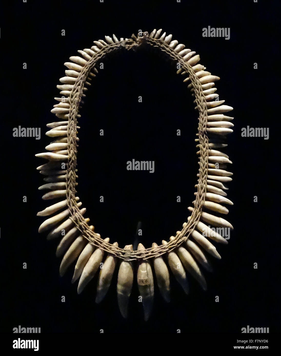 Halskette aus den Zähnen der Primaten und Fleischfresser aus Guyana. Vom 18. Jahrhundert Stockfoto
