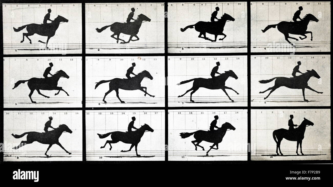 Pferd in Bewegung von Eadweard Muybridge (1830-1904), ein englischer Fotograf für seine Pionierarbeit im fotografischen Studien der Bewegung wichtig und frühen Arbeiten in Bewegtbild-Projektion. Vom Jahre 1877 Stockfoto