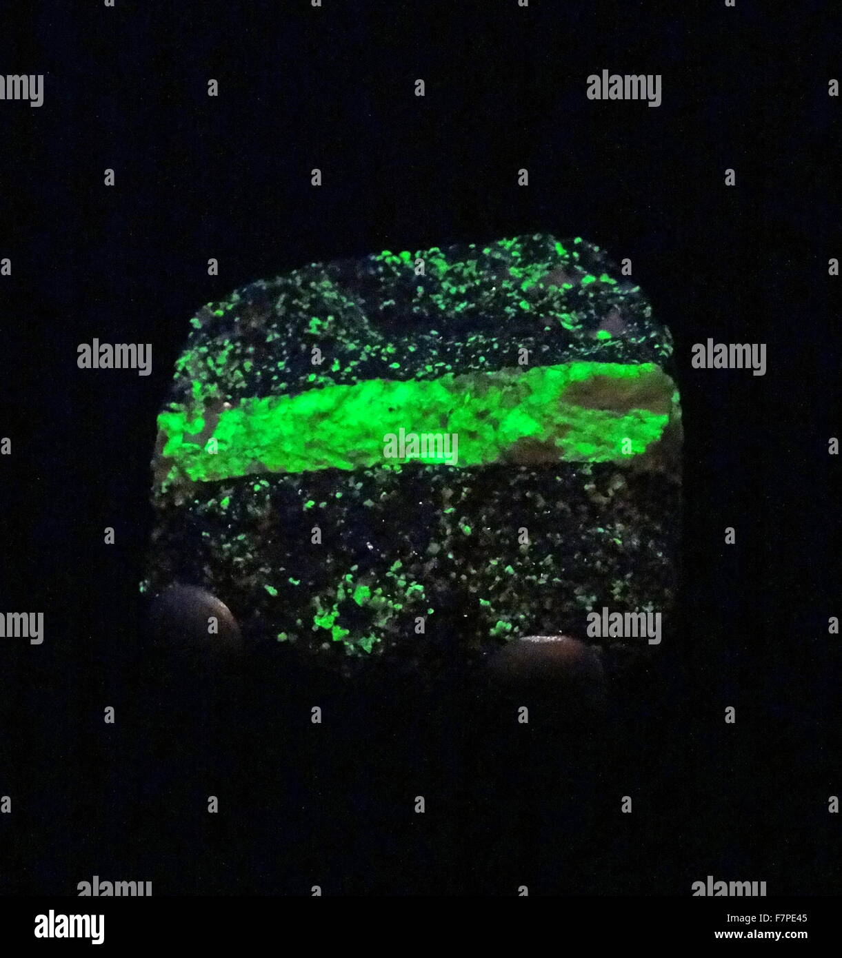 Fluoreszierende Mineralien emittieren sichtbares Licht, UV-Licht ausgesetzt Stockfoto