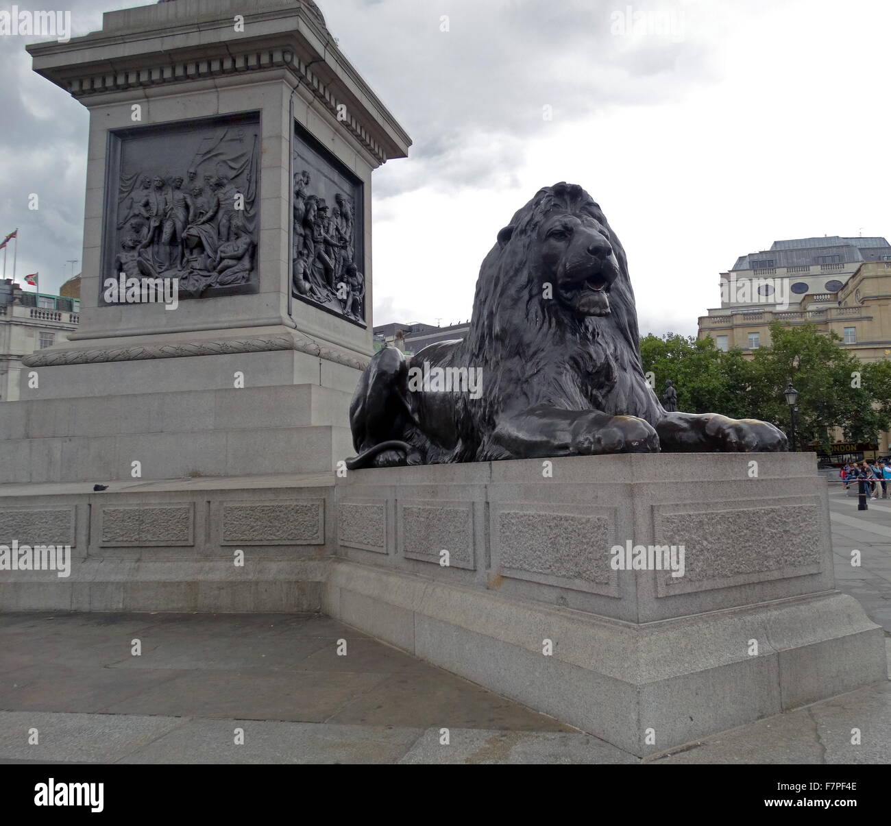 Löwenstatue am Fuße des Nelson Säule Denkmal auf dem Trafalgar Square im Zentrum von London. 2015 Löwenstatue am Fuße des Nelson Säule Denkmal auf dem Trafalgar Square im Zentrum von London errichtet, um Admiral Horatio Nelson, zu gedenken, die in der Schlacht von Trafalgar 1805 starb. Stockfoto