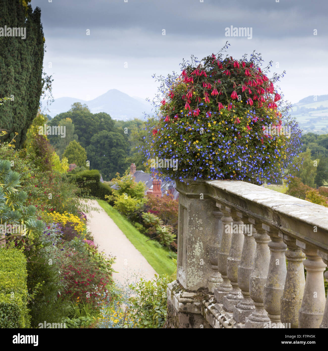 Blick von der blühenden Gartenterrassen Powis Castle und Garten, Powys, Wales, im September. Stockfoto