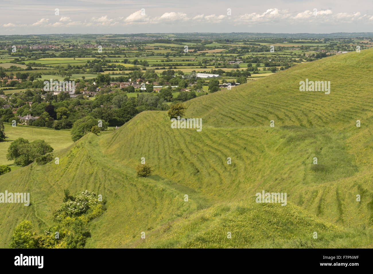 Hambledon Hill, Dorset. Der Hügel ist einer prähistorischen Wallburg und National Nature Reserve, gelegen in der Blackmore Vale, in der Nähe von Blandford Forum. Stockfoto