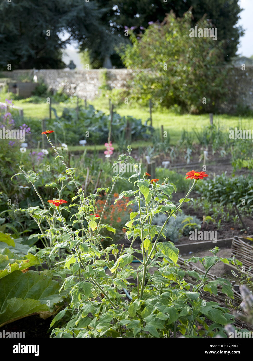 Der Gemüsegarten in Monk es House, East Sussex. Monk es House war der