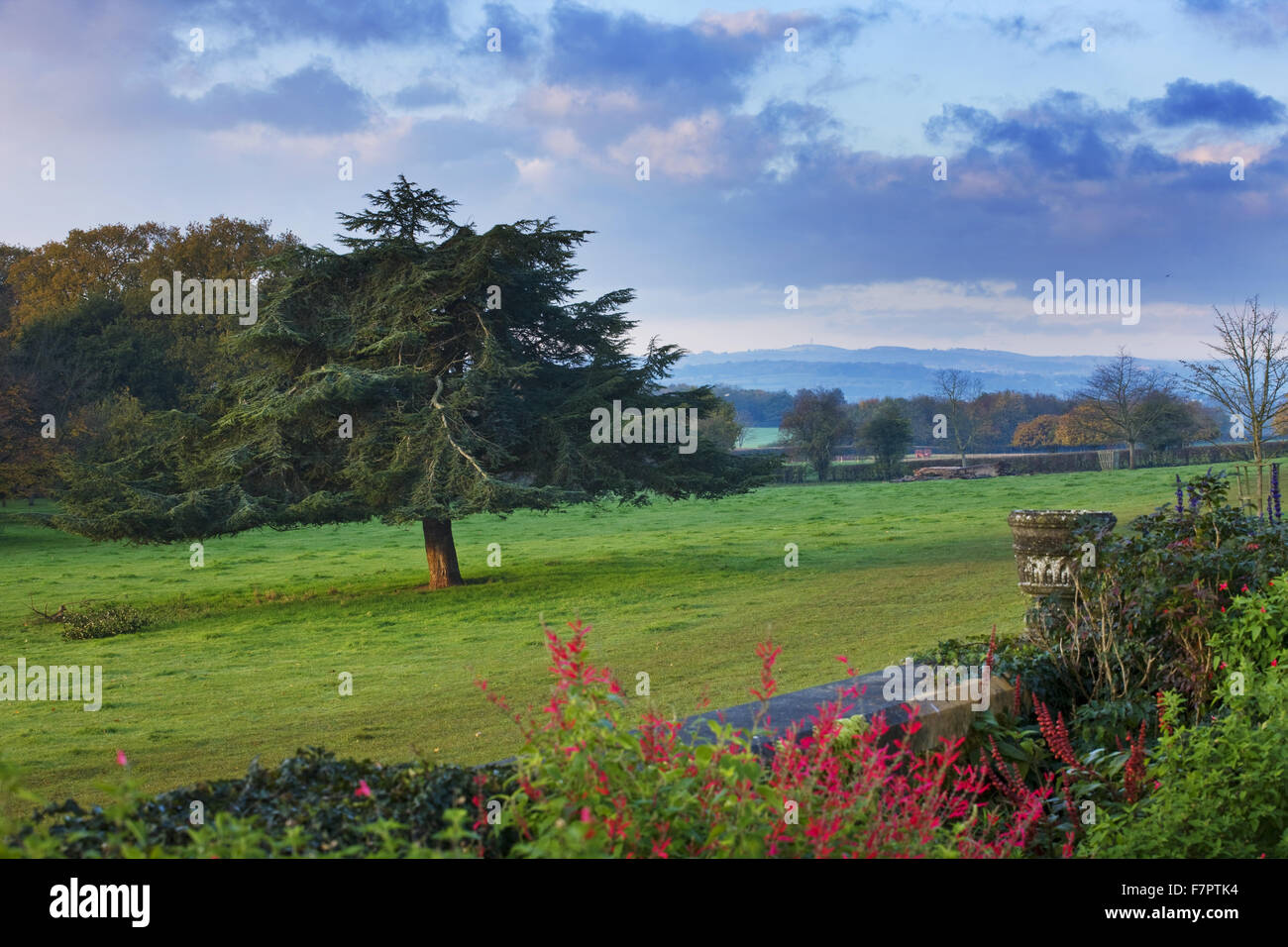 Blick über den Park am Killerton, Devon, aus den Gärten. Stockfoto