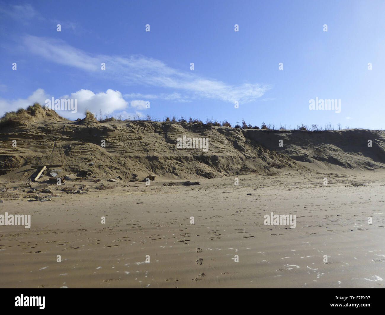 Einen weiten Blick über die Dünen und Strand in Formby, Liverpool, abgebildet bei Ebbe im März 2014. Reihen von gespendeten Weihnachtsbäume ersichtlich an den Spitzen der Dünen, wo sie helfen trap den wehenden Sand und Dünen aufbauen. Rapid Küsten äh Stockfoto
