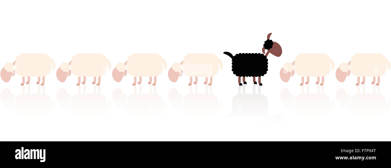 Schwarze Schafe nachschlagen - weiße Schafe weiden. Abbildung auf weißem Hintergrund. Stockfoto