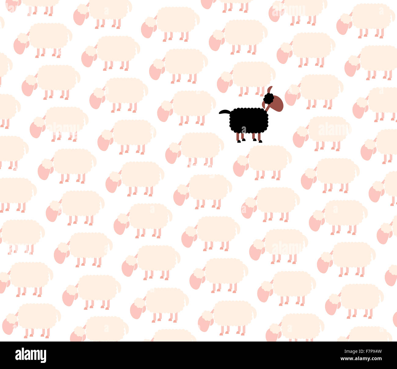Schwarze Schafe unter den weißen Schafherde. Abbildung auf weißem Hintergrund. Stockfoto