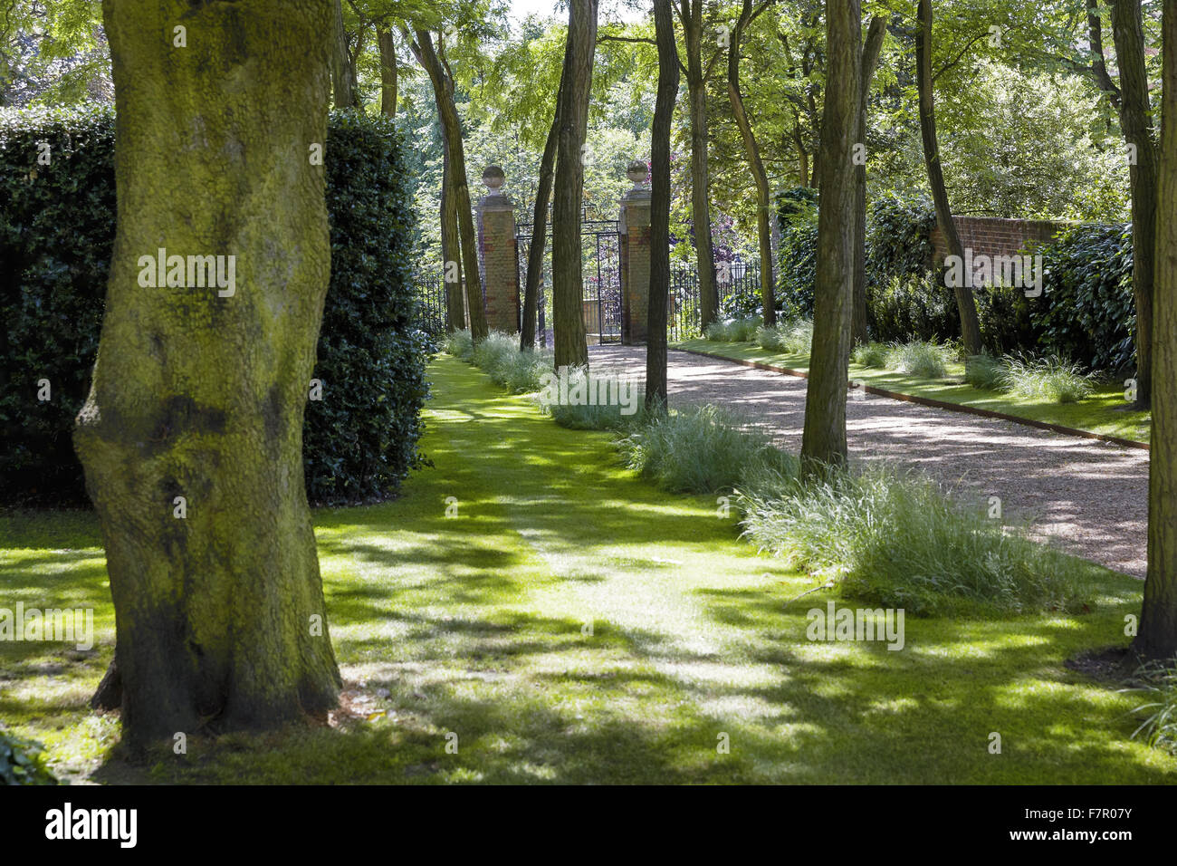 Bäume im Fenton Haus und Garten, London. Fenton House wurde im Jahre 1686 erbaut und ist gefüllt mit Weltklasse dekorative und bildender Kunst-Sammlungen. Die Gärten sind ein Obstgarten, Gemüsegarten, Rosengarten und formale Terrassen und Rasenflächen. Stockfoto