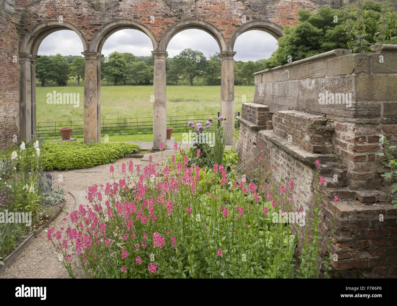 Blumen wachsen in der zerstörten Orangerie Gibside, Tyne & Wear. Gibside entstand aus einer der reichsten Männer in Georgian England und bietet eine fantastische Aussicht, weiten, offenen Flächen, faszinierende historische Gebäude und Ruinen. Stockfoto