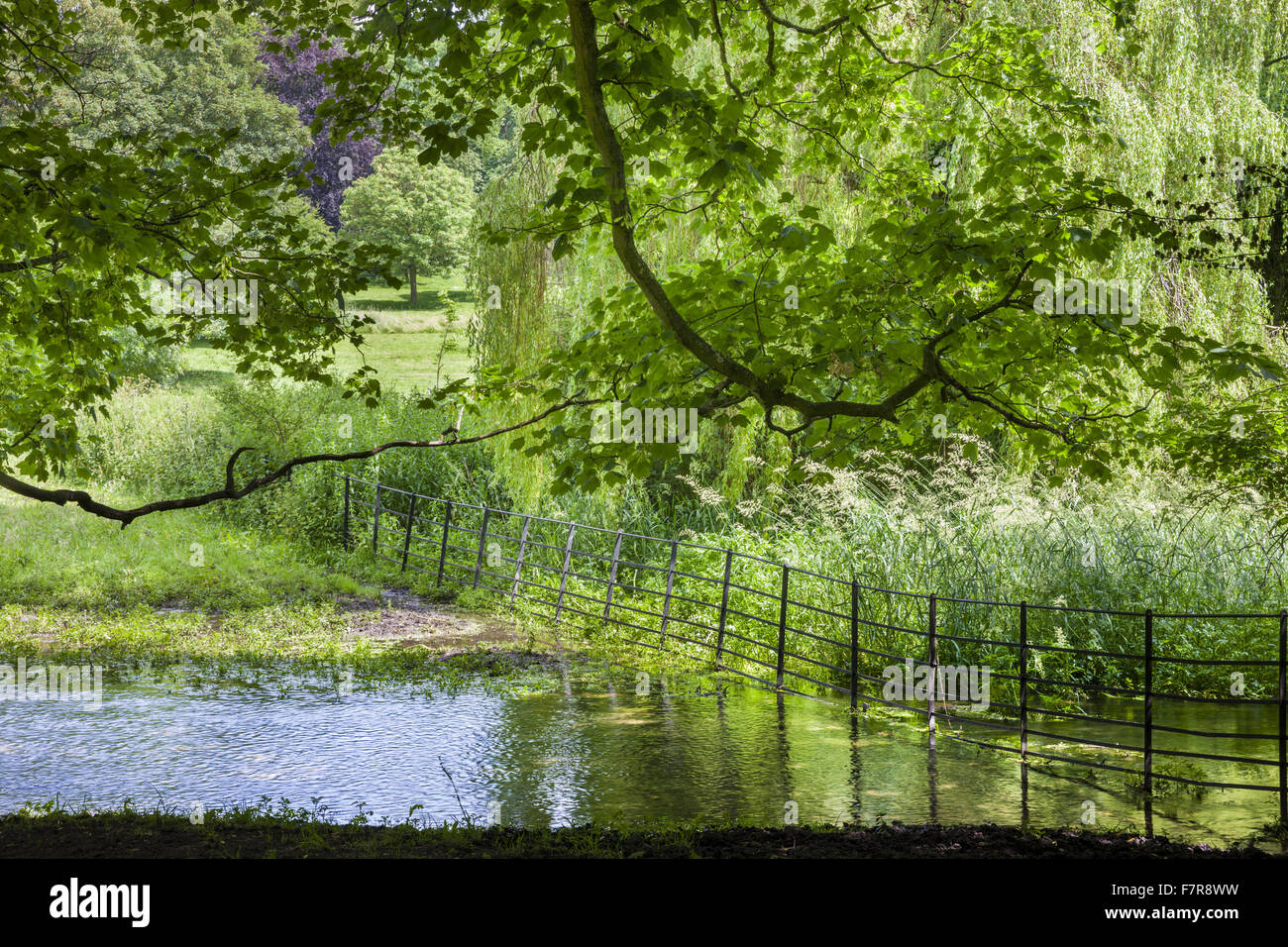 Parklandschaft in Hughenden, Buckinghamshire. Hughenden war die Heimat der viktorianischen Premierminister Benjamin Disraeli. Stockfoto