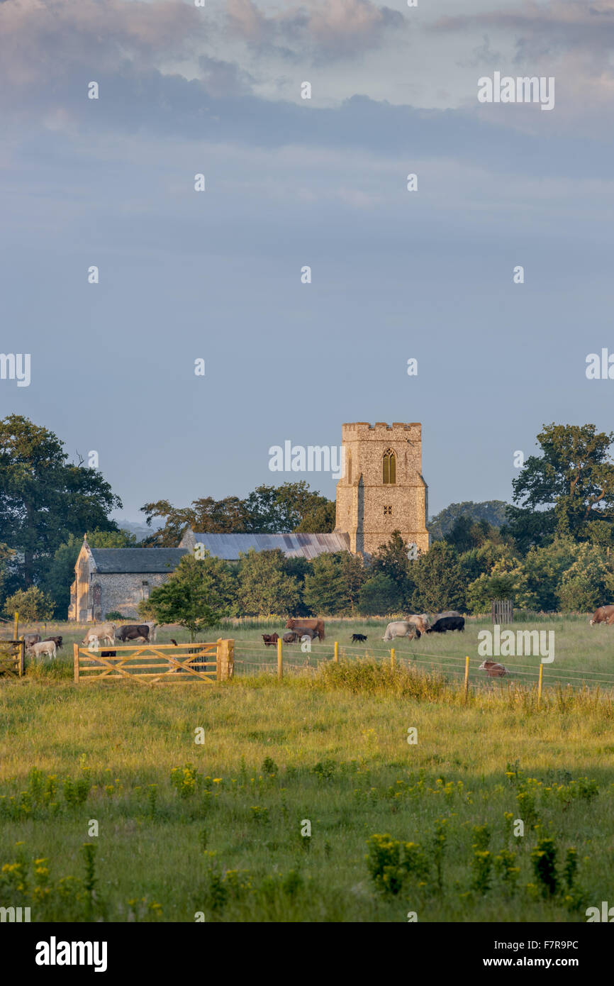 St.-Margarethen Kirche in Felbrigg Hall, Gärten und Anwesen, Norfolk. Stockfoto