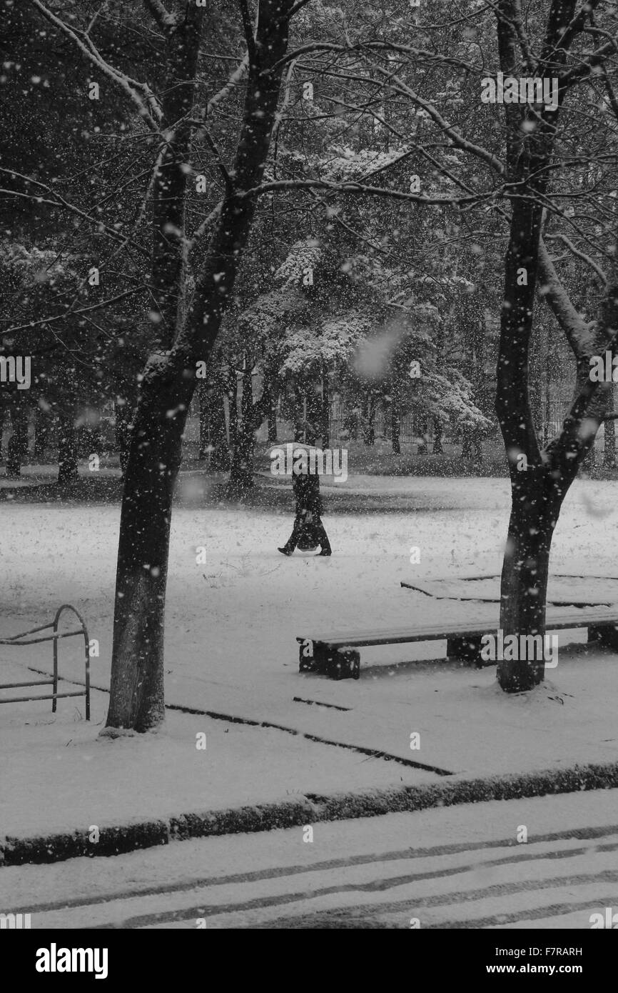 Schneesturm in Stadt für Bäume, Straßen, Menschen Stockfoto