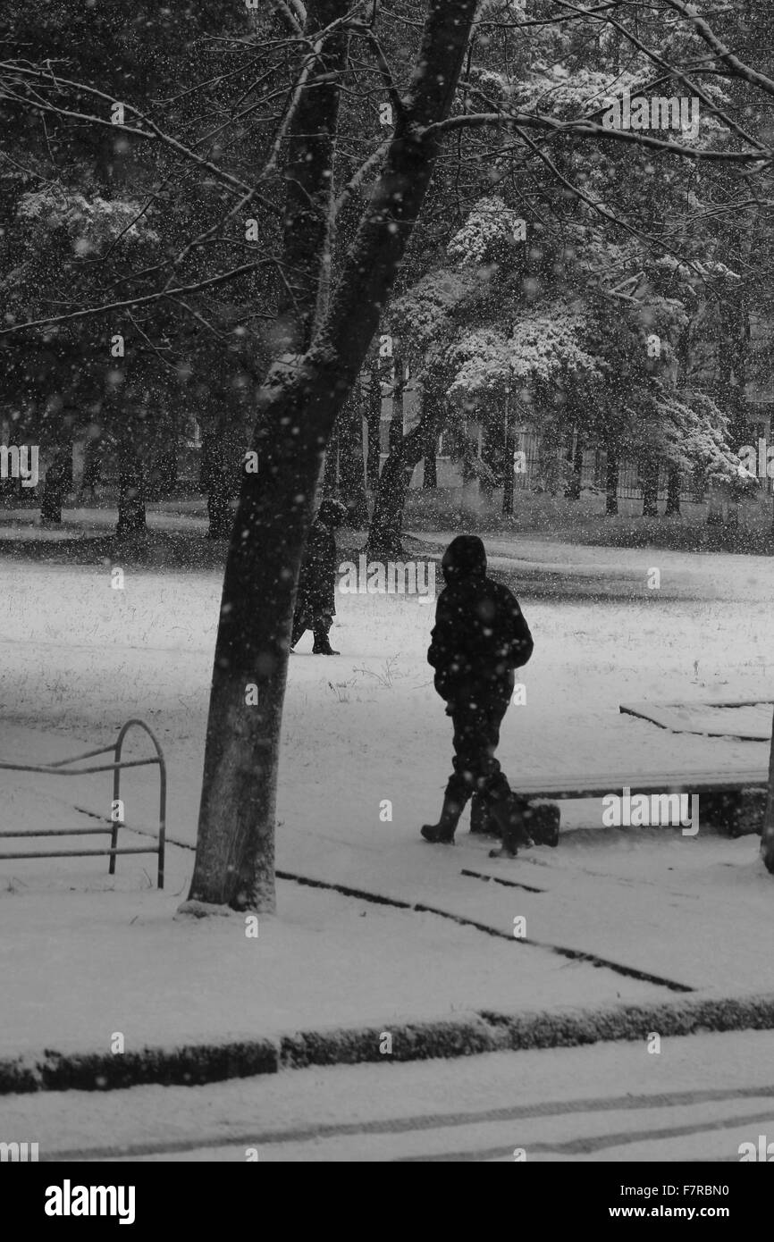 sehen Sie sich auf Winter Straße mit flauschigen Schneeflocken auf Menschen, Bäumen und Straße fallen Stockfoto