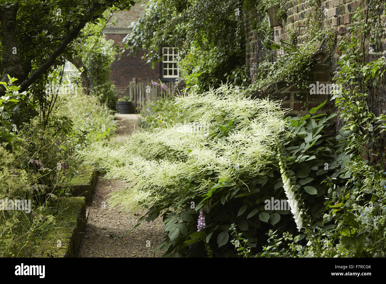 Der Garten am Fenton House and Garden, London. Fenton House wurde im Jahre 1686 erbaut und ist gefüllt mit Weltklasse dekorative und bildender Kunst-Sammlungen. Die Gärten sind ein Obstgarten, Gemüsegarten, Rosengarten und formale Terrassen und Rasenflächen. Stockfoto