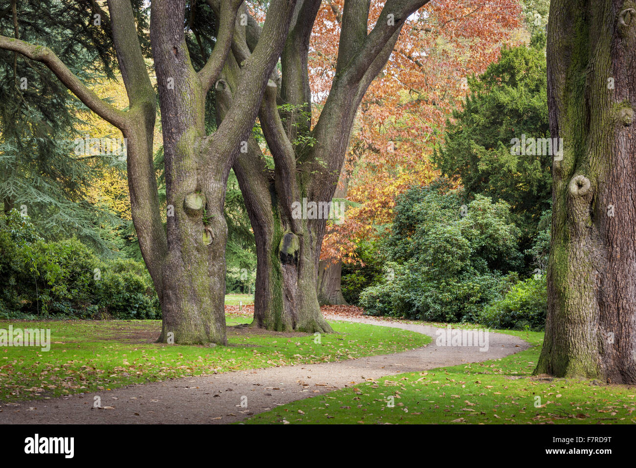 Das Vergnügen Gelände zu Clumber Park, Nottinghamshire. Stockfoto