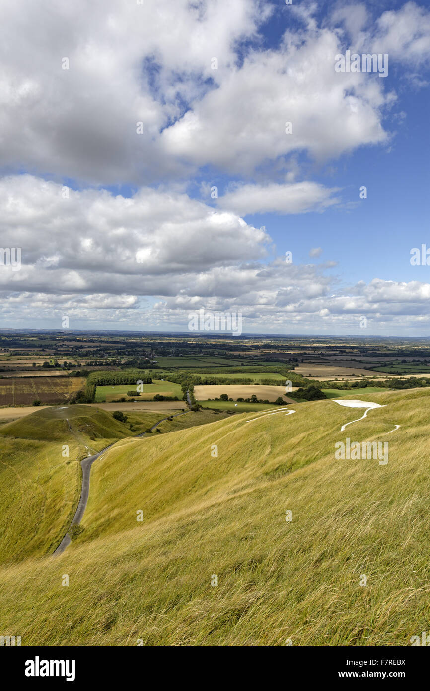 Das Uffington White Horse, mit Dragon Hill und Vale des weißen Pferdes hinaus von White Horse Hill, Uffington, Oxfordshire gesehen. Stockfoto