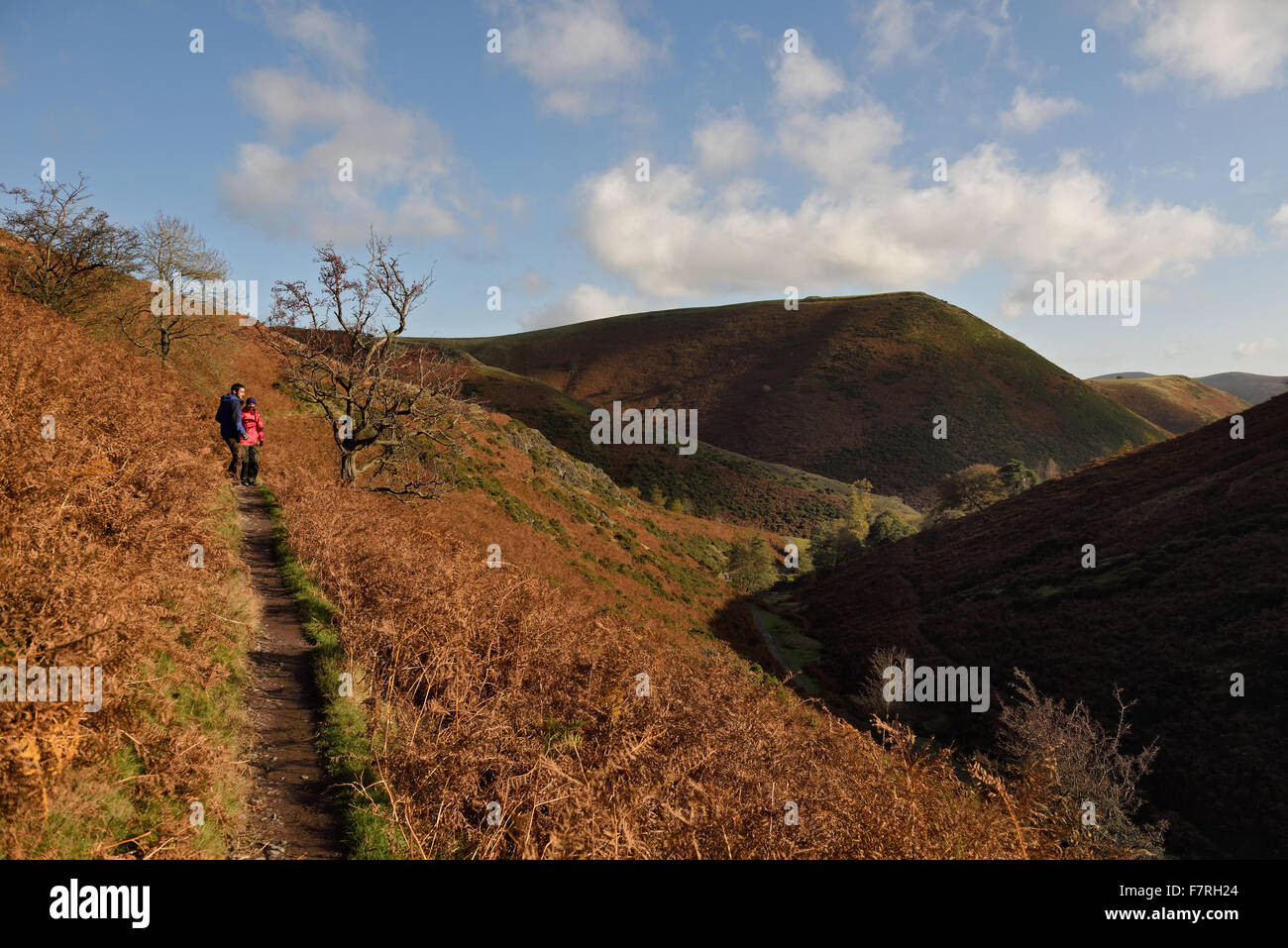 Kardieren Mill Valley und die Shropshire Hügel, Shropshire. Die Website umfasst 2000 Hektar Heidekraut bewachsenen Hügeln mit Blick auf den legendären der Shropshire Hügel. Stockfoto