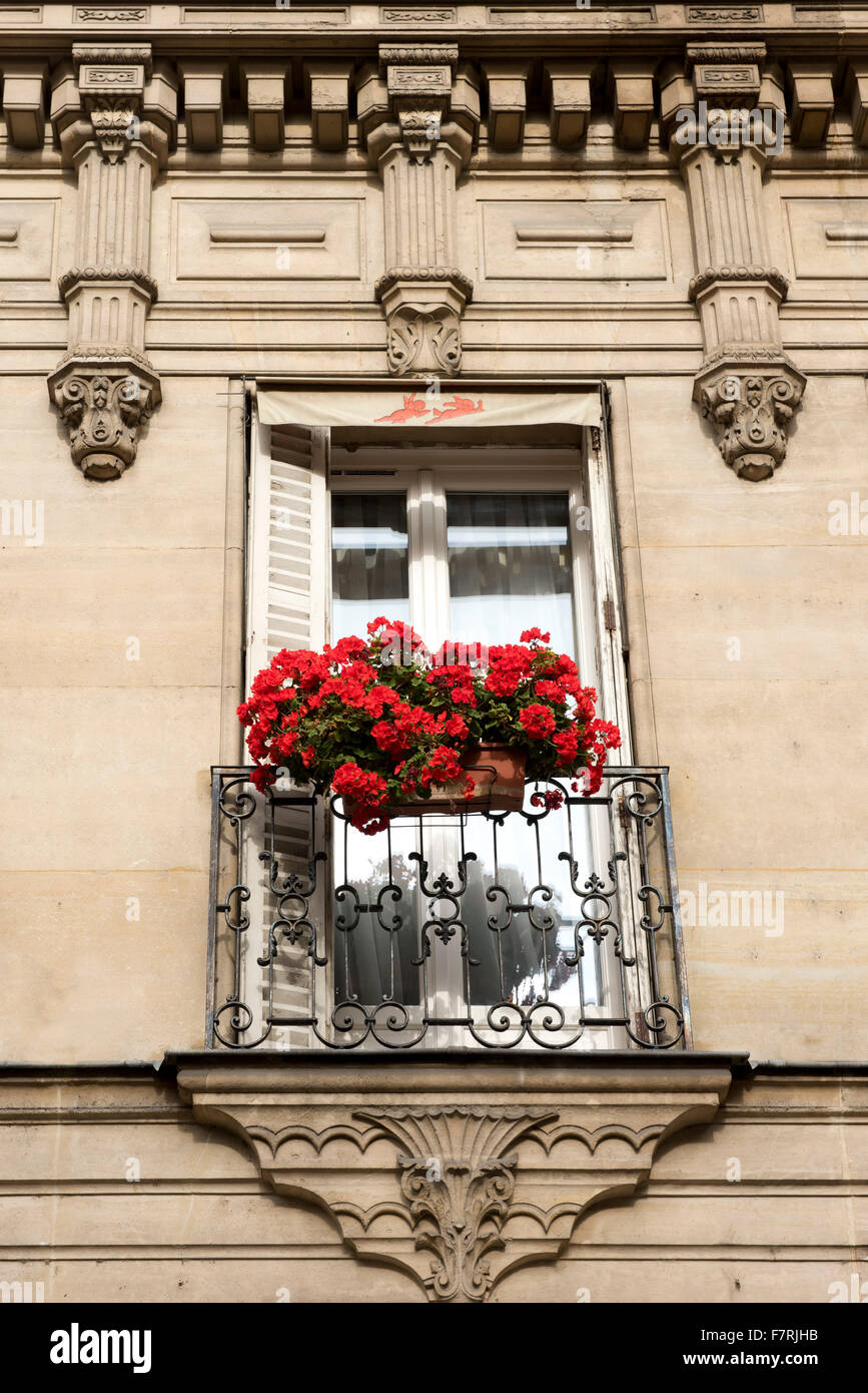 Ein Fenster-Box von roten Geranien auf einem reich verzierten Gebäude in Paris, Frankreich Stockfoto