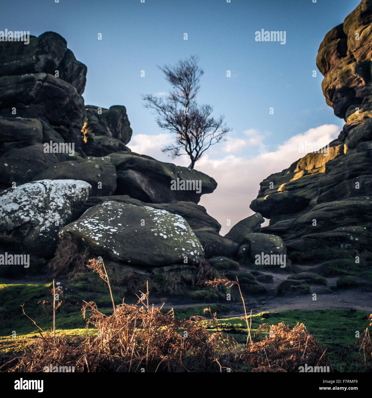 Sunrise-Pausen über Brimham Rocks in Yorkshire Dales Stockfoto