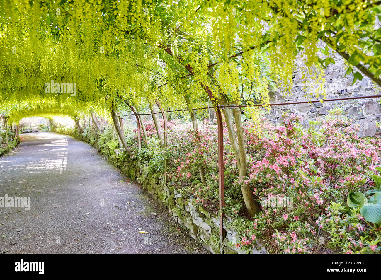 Bodnant Garden, Clwyd, Wales. Bodnant gibt einen atemberaubenden Garten mit großen Terrassen und Blick auf Snowdonia. Stockfoto