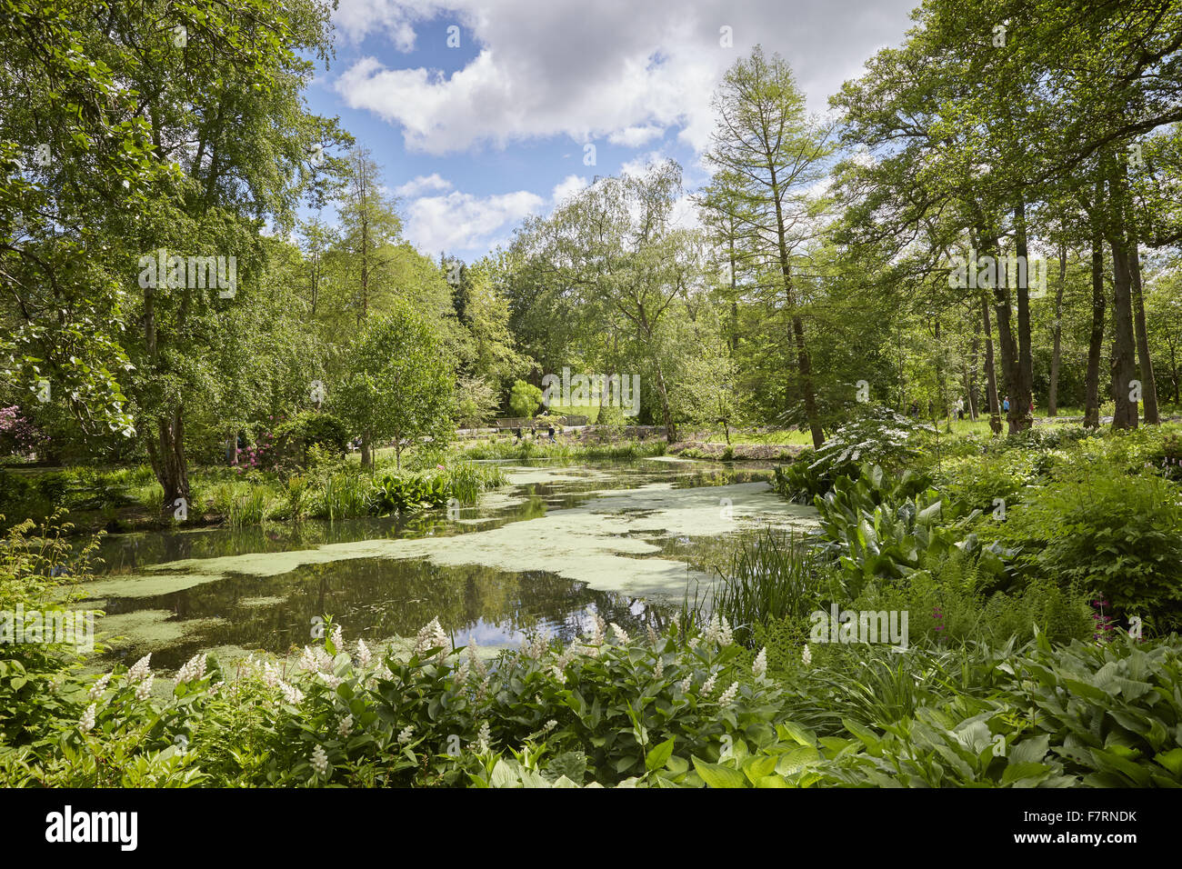 Bodnant Garden, Clwyd, Wales. Bodnant gibt einen atemberaubenden Garten mit großen Terrassen und Blick auf Snowdonia. Stockfoto