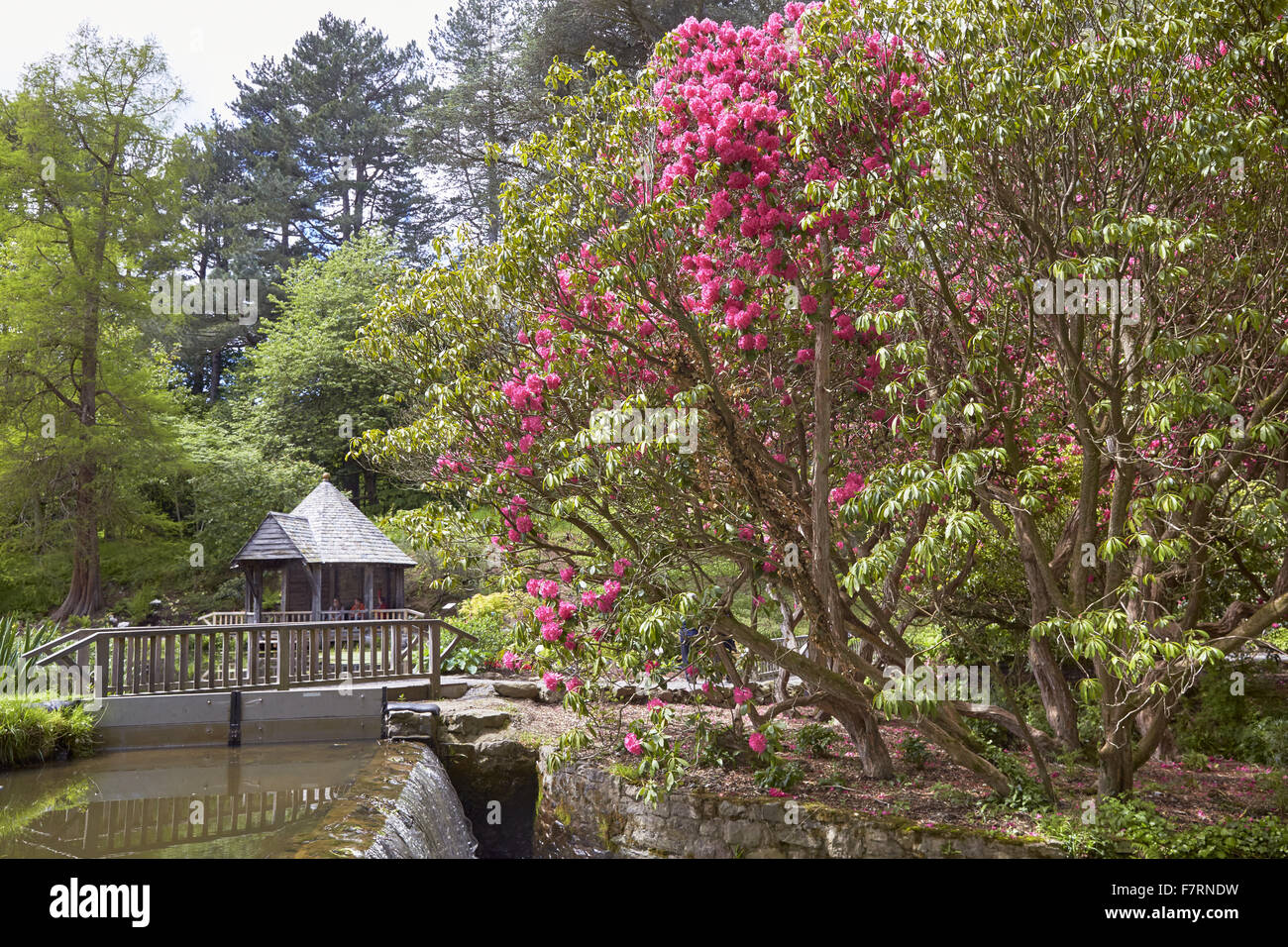 Bodnant Garden, Clwyd, Wales. Bodnant gibt einen atemberaubenden Garten mit großen Terrassen und Blick auf Snowdonia. Stockfoto