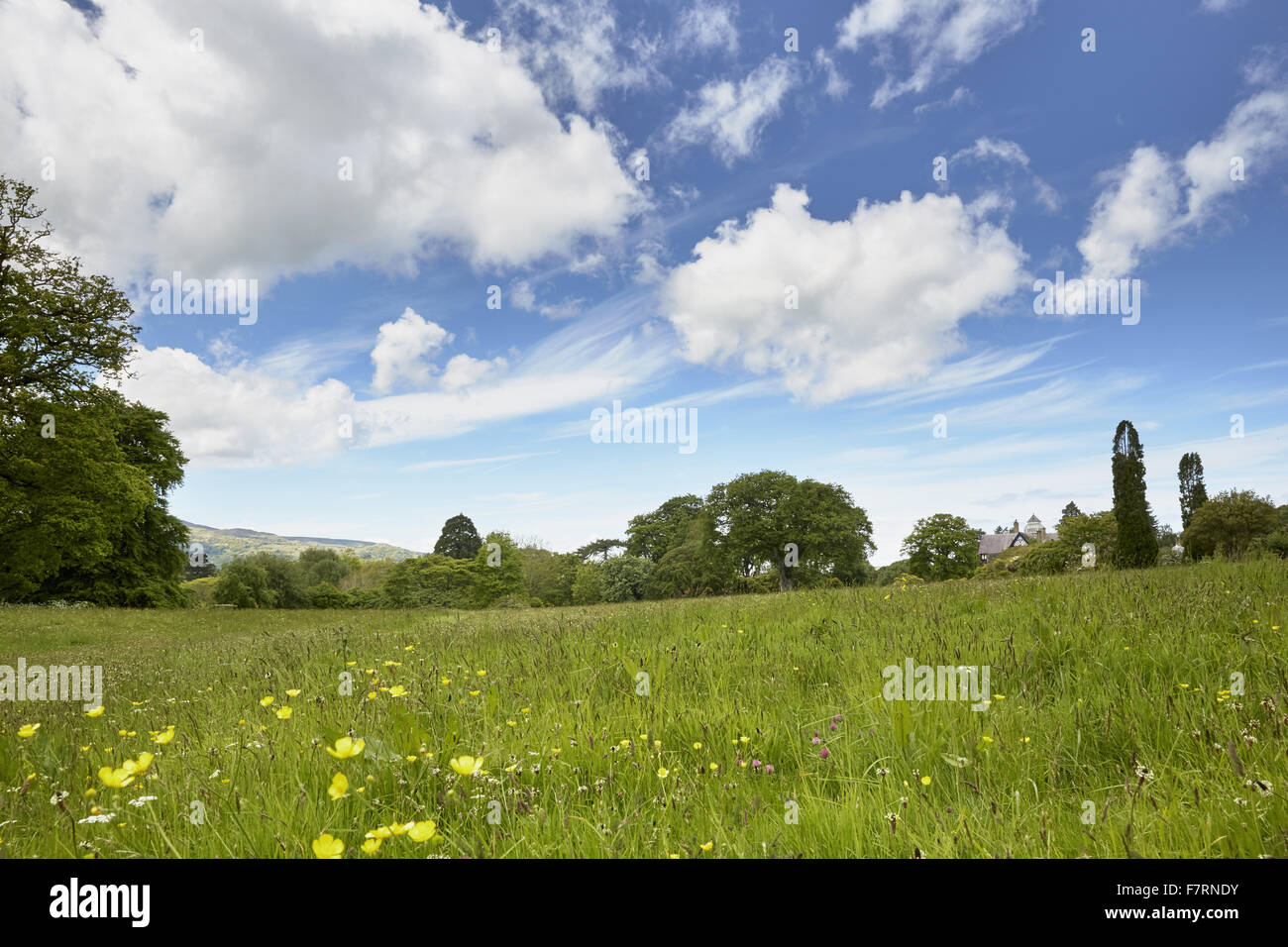 Bodnant Garden, Clwyd, Wales. Bodnant gibt einen atemberaubenden Garten mit großen Terrassen und Blick auf Snowdonia. Stockfoto