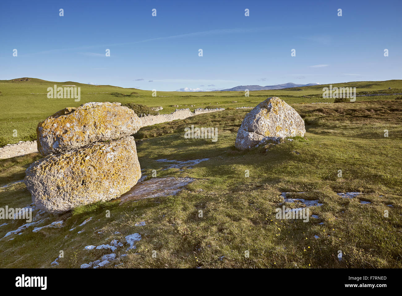 Der Great Orme, Llandudno, Conwy, Wales. Stockfoto