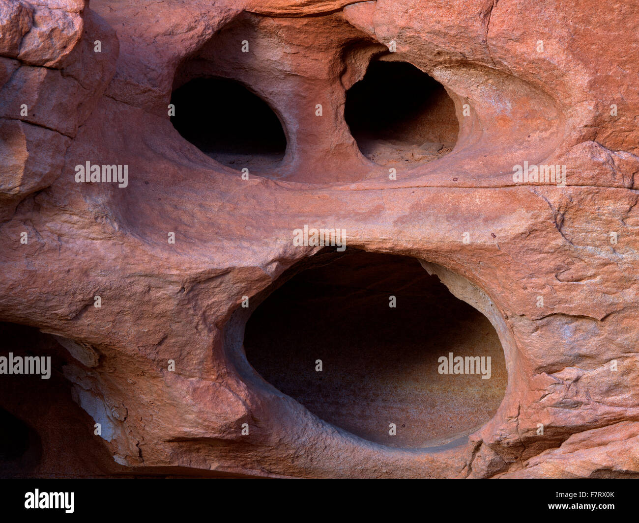 Felsformation, die wie ein Gesicht aussieht. Valley of Fire State Park, Nevada Stockfoto