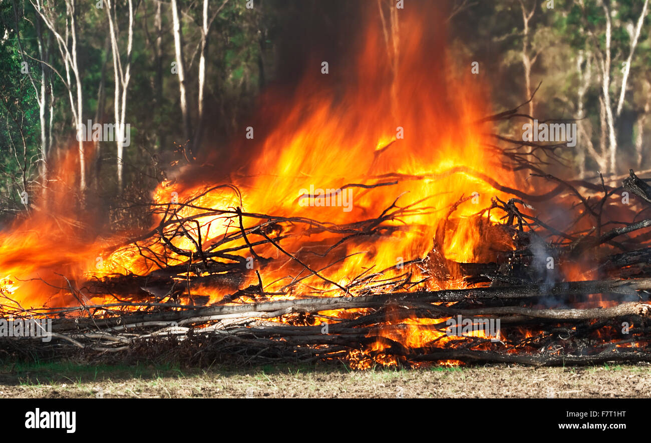 Heftige Flammen, Rauch und tobenden Feuer aus brennenden Lagerfeuer im Busch Stockfoto